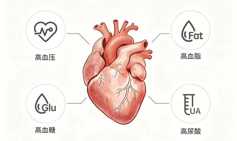 心源性猝死呈年轻化趋势，警惕高尿酸这一隐形推手